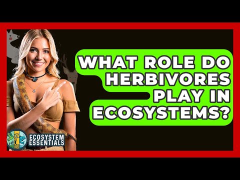 What Role Do Herbivores Play In Ecosystems? - Ecosystem Essentials