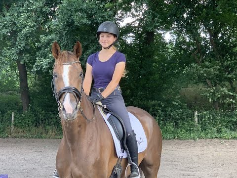 QUANTALAMERA 4j. v. Quantensprung - Stedinger. for sale