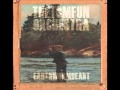 Tom fun orchestra- Sympathetic wolf 