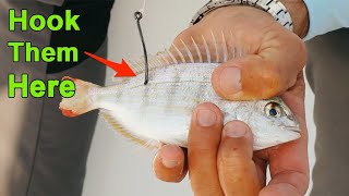 How To Hook Pinfish To Catch More Redfish, Snook, Trout & Tarpon