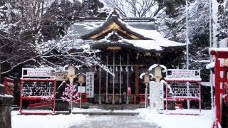 preview picture of video 'First Snow in Tokyo Area, 2013 [iPhone 4S/HD]'
