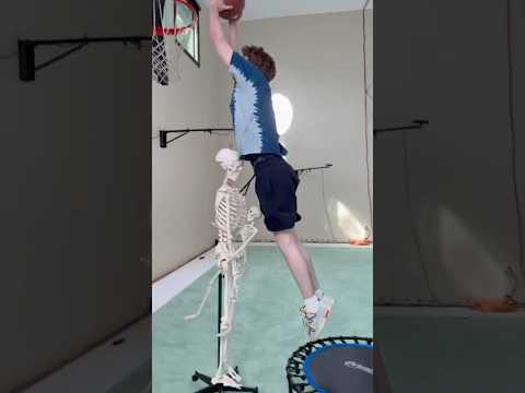 PRIME DREAM VS PRIME LEBRON??