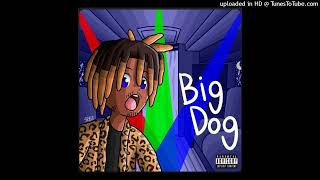 Cover art for Big Dog