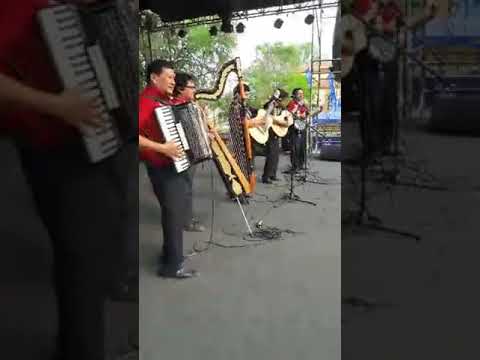 DUO MONGELOS TORALES CON SILVIO MORA Y CATALINO GILL EN VIVO
