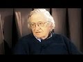 Noam Chomsky on Evolutionary Psychology