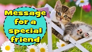 Message for a Special Friend - Friendship message - Special person