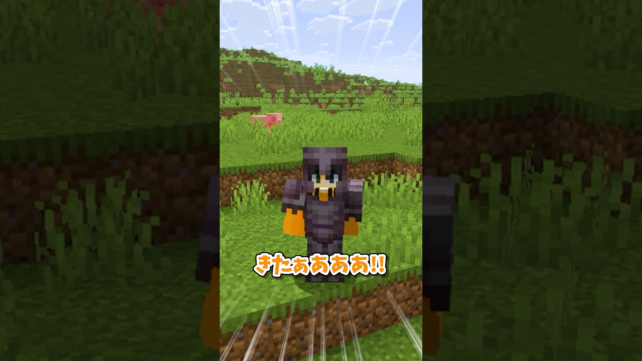 喋ったことがウソになる世界…#マイクラ