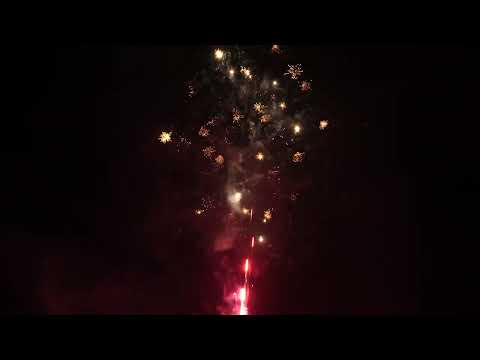 EC6207/49 - Пиробатерия,Ф20mm,49s,LILY ROMA,8/1