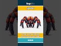 spider - a small animal with eight l... video thumbnail
