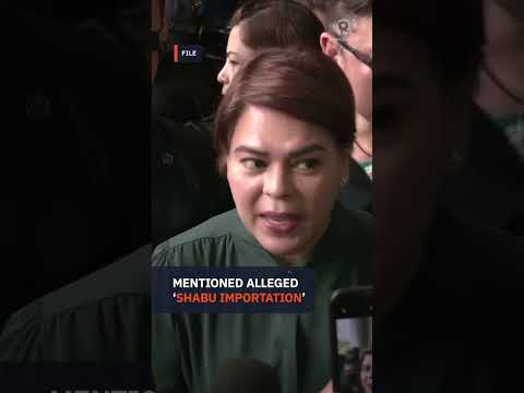 Sara Duterte’s flagged transactions ‘linked’ to flood control, drugs – AMLC