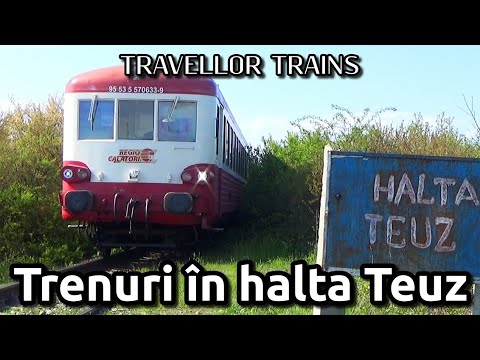 Trenuri în halta Teuz (Linia 318: Ineu - Cermei)