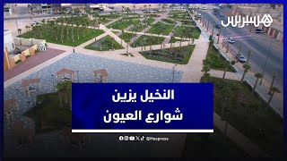 بعدد وصل إلى 19 ألف نخلة .. أشجار النخيل تزين العيون وتضفي جمالية ورونقا بشوارع وأزقة المدينة thumbnail