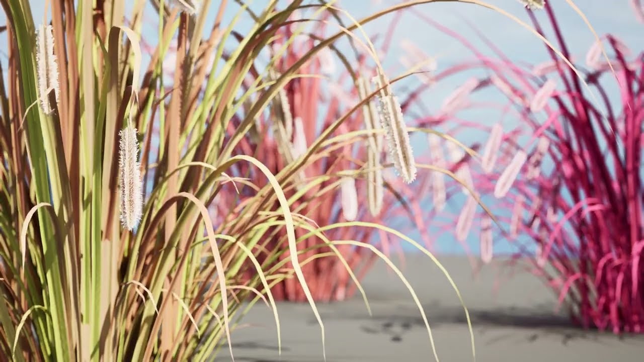 Purple Fountain Grass 3D Model