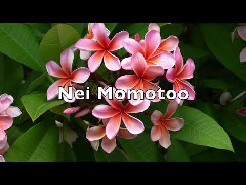 Nei Momotoo