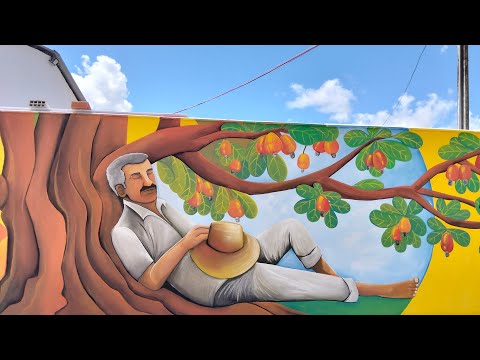 Cajueiro Alagoas/ forró dos velhos/ forró do João do Carmo 