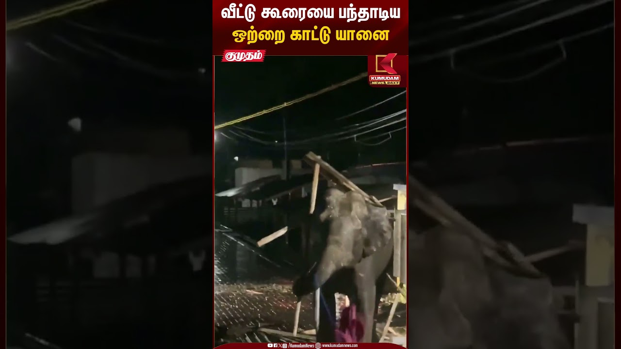 வீட்டு கூரையை பந்தாடிய ஒற்றை காட்டு யானை | Kumudam News