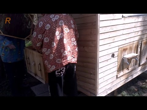 Весенние работы с пчелой на апиулье