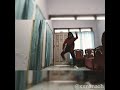 Cover dance by ceming