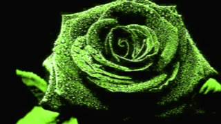 David Sanborn / Everything Must Change