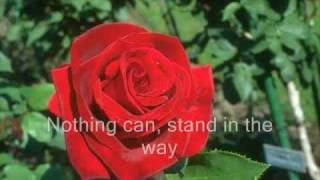 deeply in love - hillsong