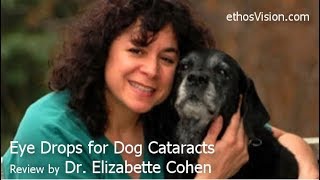 Dog Cataract Eye Drops Review by Dr. Elizabette Cohen - Video