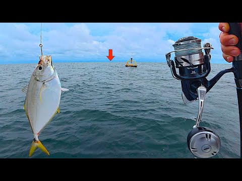 Fishing a LIVE! CRAZY FISH in 80' DEEP and Caught my Biggest one EVER!