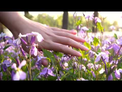 Amazing Colors of Spring 4K Nature Relaxation Film - Nature Background
