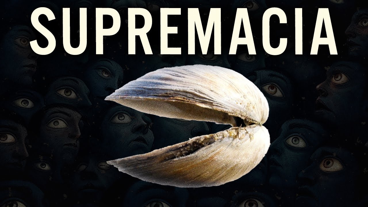 como 8 MEXILHÕES CONTROLAM a POLÔNIA?