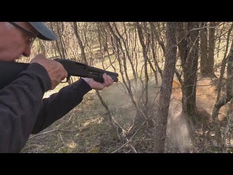 Mossberg 590A1 SBS  Woods Walk