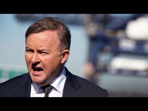 Public thinks Albanese is 'not up to the job': John Howard