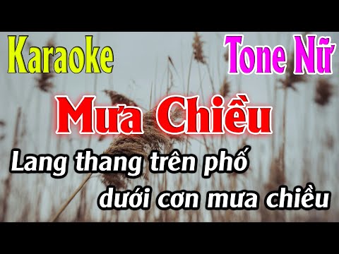 Mưa Chiều Karaoke Tone Nữ Karaoke Lâm Organ - Beat Mới