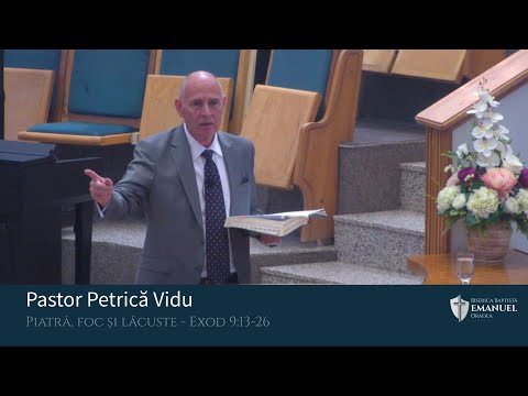 17.07.2022 AM | P. Vidu  "Piatră, foc și lăcuste" - Exod 9:13-26