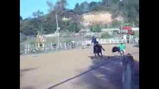 preview picture of video '02 treino vaca mecanica Taquari-rs'