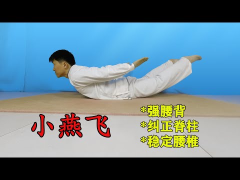燕子飛運動