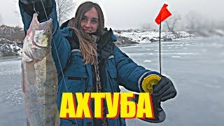 Рыбалка на ахтубе зима