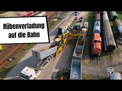 Vlog - Rübenverladung auf den Zug // So gelangt der Zucker vom Feld in die Fabrik