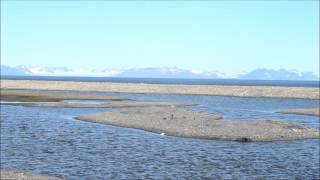 Longyearbyen camping - Svalbard