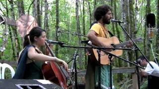 Breathe Owl Breathe- Birds