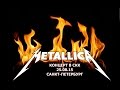 Группа "Metallica" концерт в СКК (СПб) 25.08.2015 