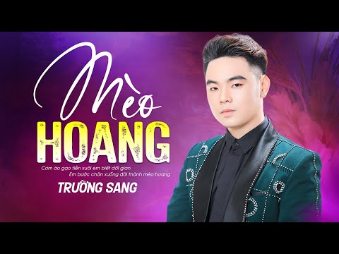 Mèo Hoang - Trường Sang (st Hàn Châu) | Nhạc Trữ Tình Hay Tê Tái Con Tim