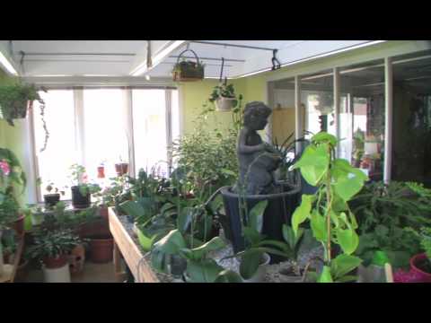 Fox Hill Village Westwood, MA .wmv