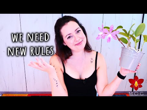 I'm only buying these Orchids from now! A change that needed to happen..