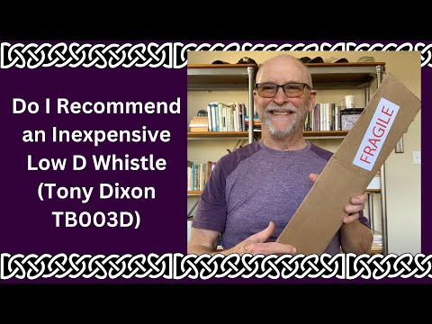 Do I recommend an Inexpensive Low D Whistle | Tony Dixon TB003D Review (Part One)