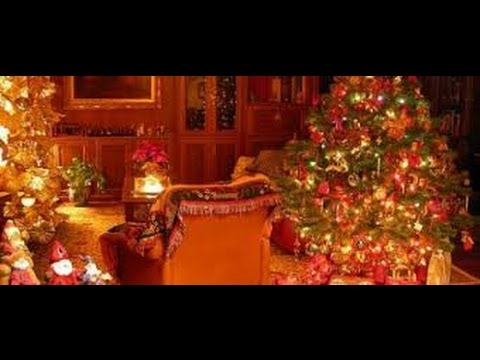 Tv7 con Voi del 18/12/2014 - Consumi a Natale - (2 di 3)