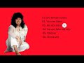 Grandes Sucessos De Roberta Miranda