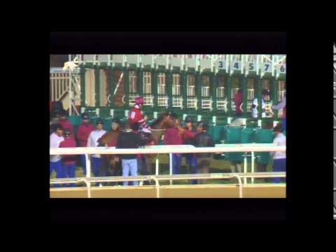 26th Race Meeting of Season 2015/2016