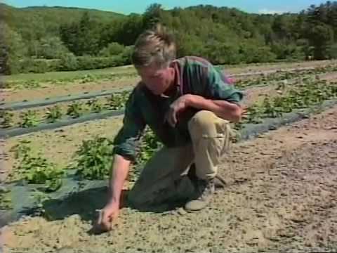 How to Use a Disc Harrow Model 300