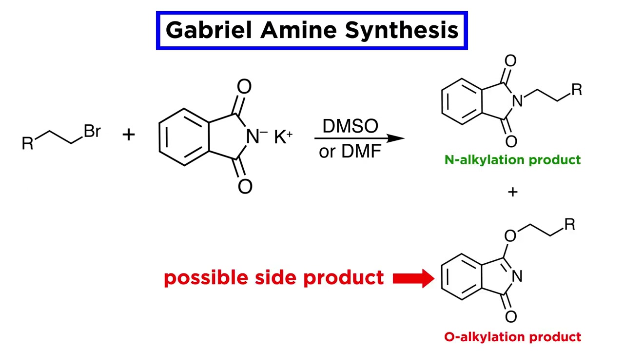 Gabriel Amine Synthesis