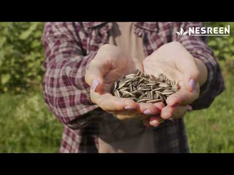 Nesreen products are completely natural and have many benefits.🌻