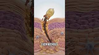 NEVER Pinch a Bee Sting! 🐝🦋 Here is Why (3D Animation